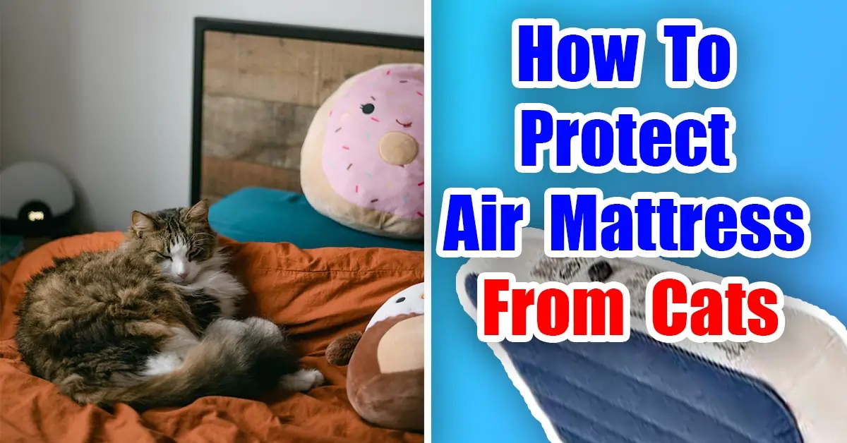 How To Protect Air Mattress From Cats