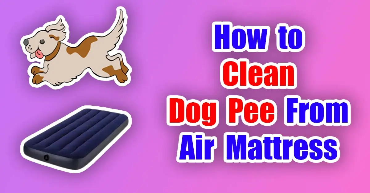 How to Clean Dog Pee From Air Mattress