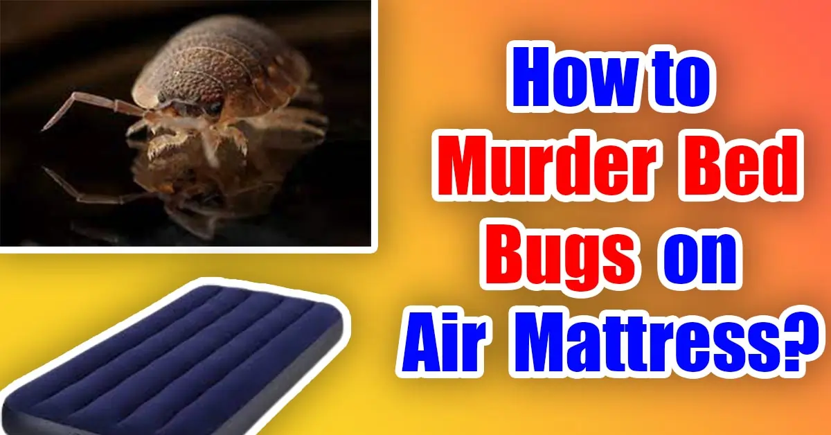 How to Murder Bed Bugs on Air Mattress