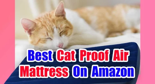 Best Cat Proof Air Mattress On Amazon