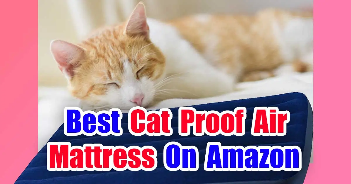 Best Cat Proof Air Mattress On Amazon