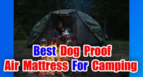 Best Dog Proof Air Mattress For Camping