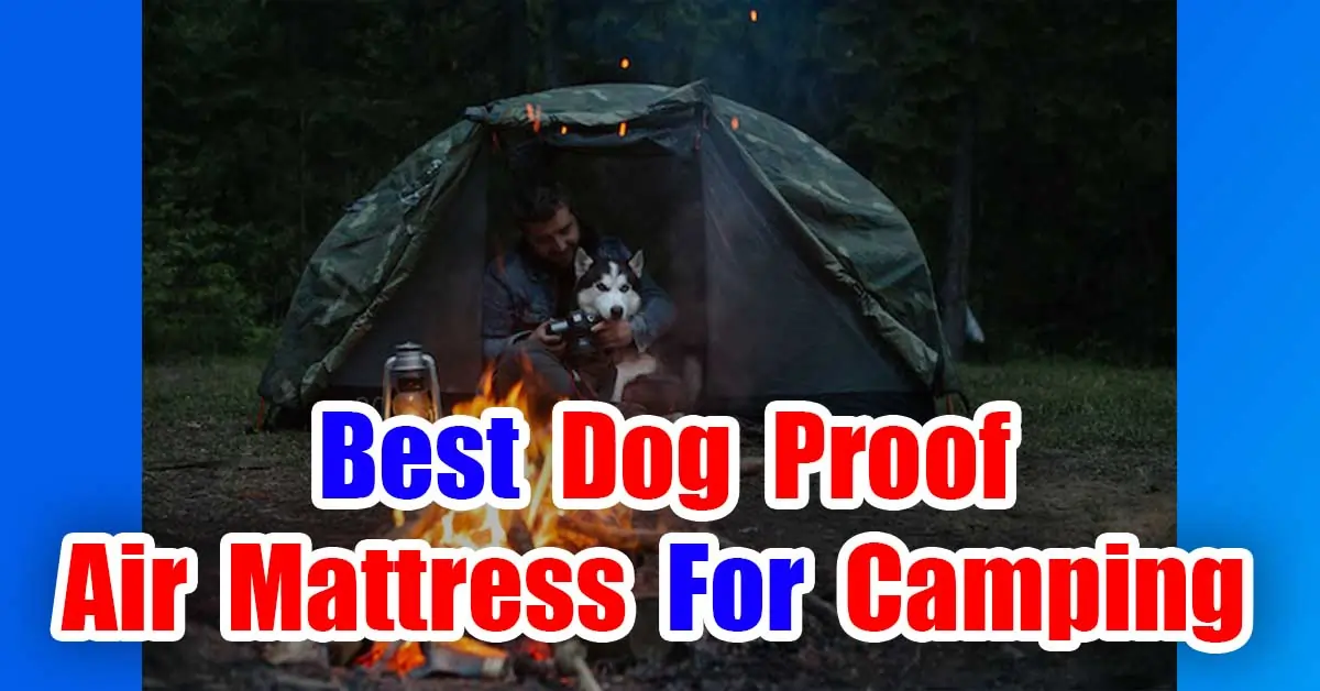 Best Dog Proof Air Mattress For Camping